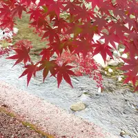 青井岳自然公園の写真・動画_image_877320