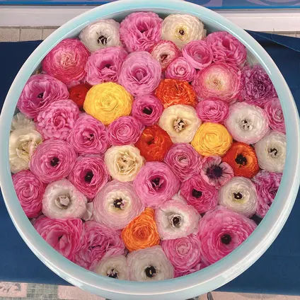砥部焼陶芸館
