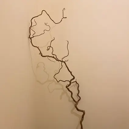 暮らしの雑貨と喫茶 / 和白