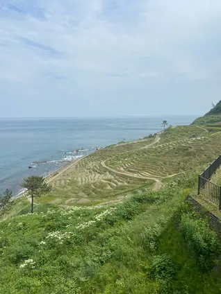 道の駅千枚田（輪島千枚田レストハウス）