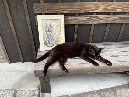 圓福寺