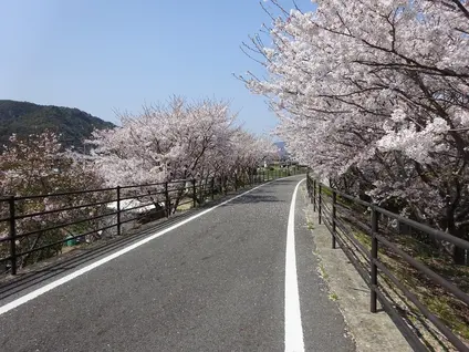 片鉄ロマン街道サイクリング道