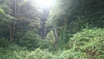 羅生門