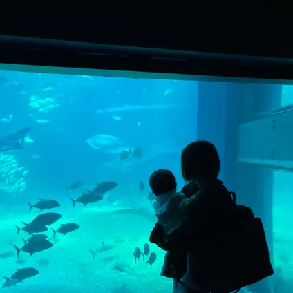 海遊館