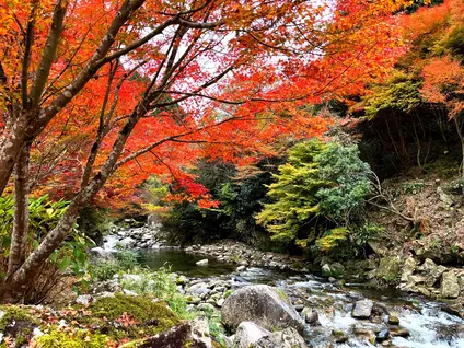 滝ノ口河川公園