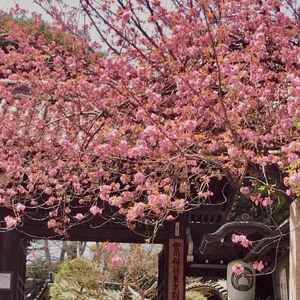 豊川稲荷東京別院
