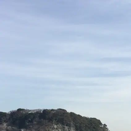 猿島