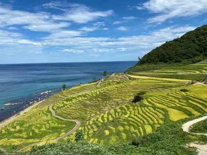白米千枚田展望台