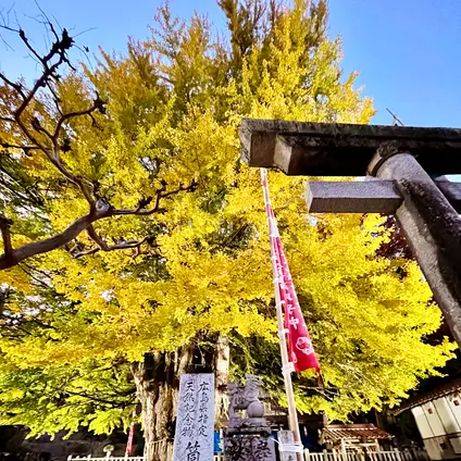 筒賀の大銀杏