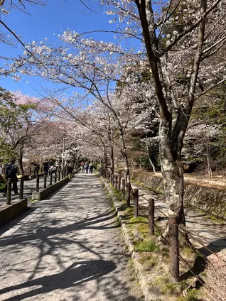 哲学の道