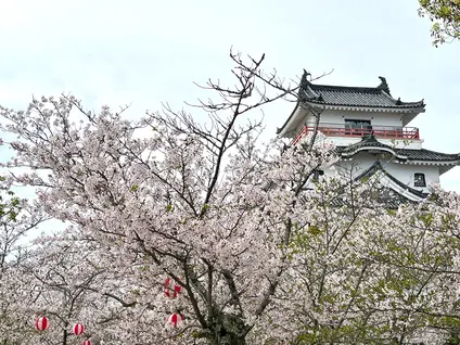 唐津城