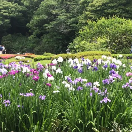 二の丸庭園