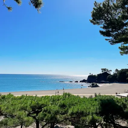 桂浜