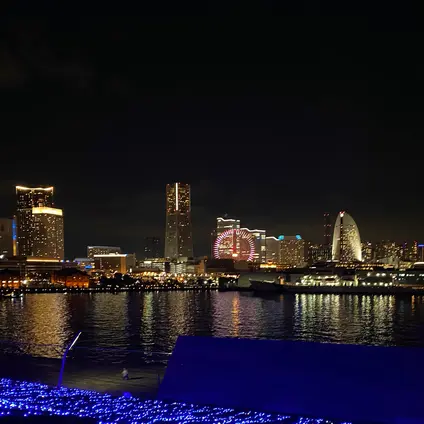 横浜港大さん橋国際客船ターミナル（大さん橋）