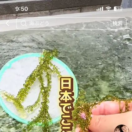 〒901-0362 沖縄県糸満市真栄里１９３１