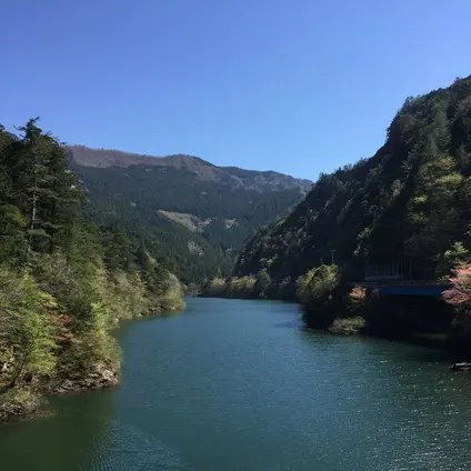 いの町