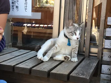 御誕生寺