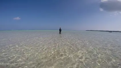 百合ヶ浜