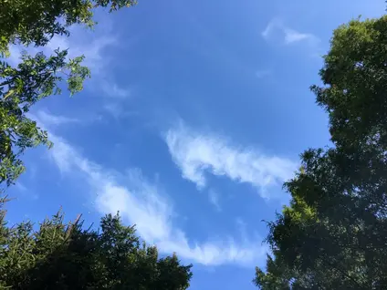 よこはま動物園ズーラシア