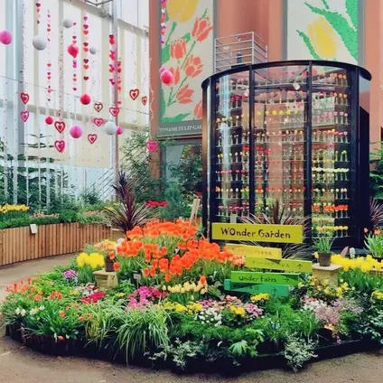 チューリップ四季彩館