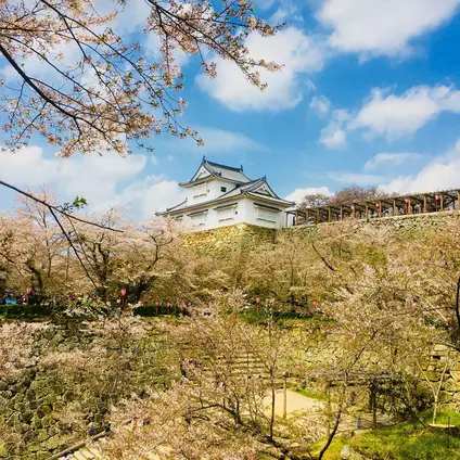 津山城跡