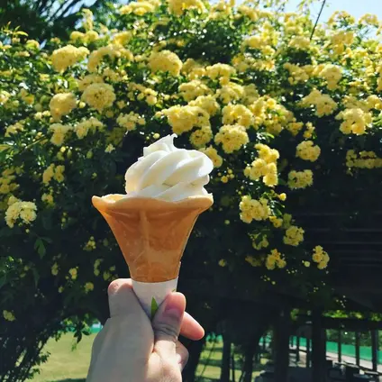 国営備北丘陵公園