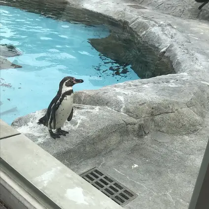 とべ動物園
