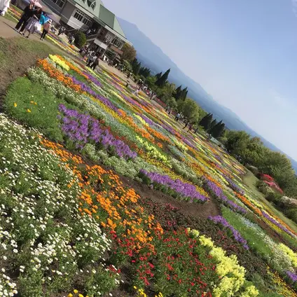 くじゅう花公園