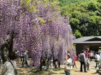 和気町歴史民俗資料館