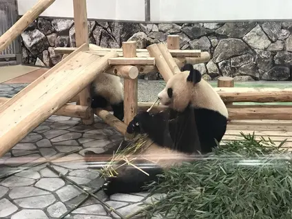 アドベンチャーワールド
