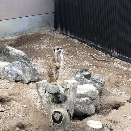 広島市安佐動物公園