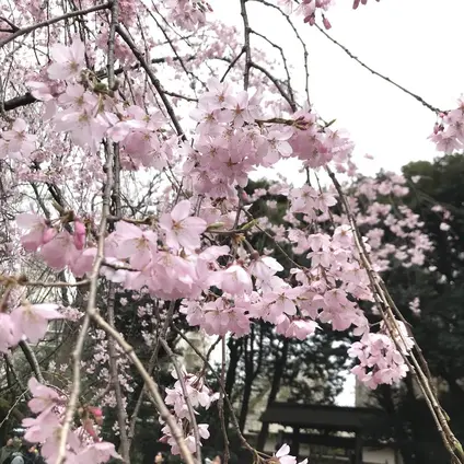 六義園