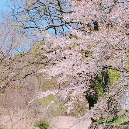 〒052-0101 北海道有珠郡壮瞥町滝之町２４７−５