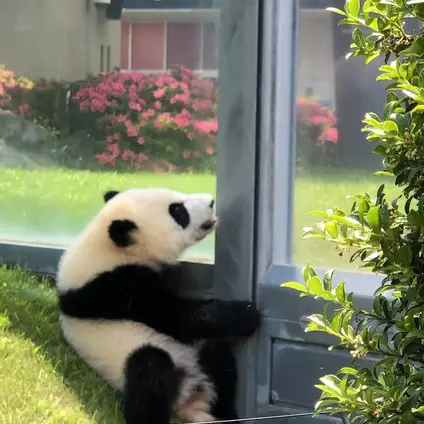 アドベンチャーワールド