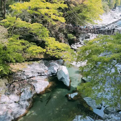 祖谷のかずら橋