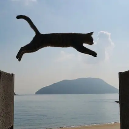 佐柳島