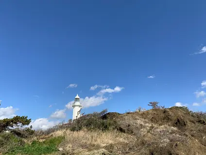 野島崎