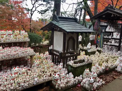 豪徳寺