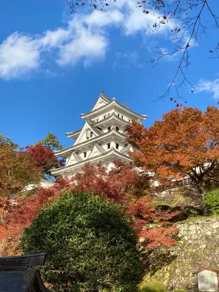 郡上八幡城