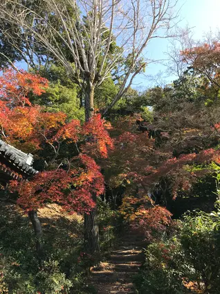 石峰寺