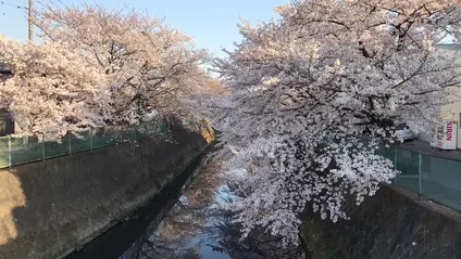 戸塚東２丁目２９−１２