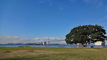 沙弥島