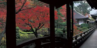 東京から日帰りで山梨行くずら～　: )