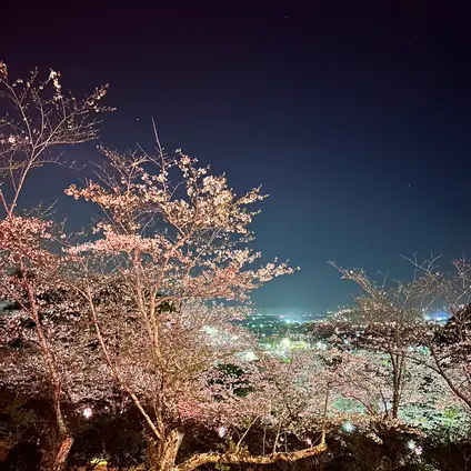 小見川城山公園