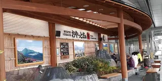 【鹿児島空港発着：1泊2日】宮崎県最南端「都井岬」まで行くモデルコース