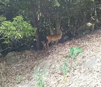 安室ダムの写真・動画_image_460284