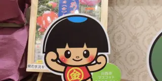 昔話・おとぎ話の金太郎に会いに行こう！