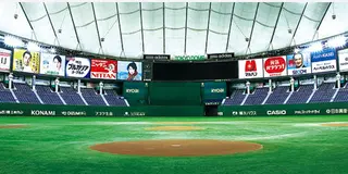 野球行っちゃいます-知らない人も楽しめます-