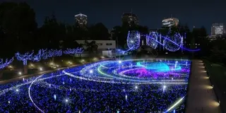 大人な六本木クリスマスデート