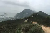 Dragon's Back